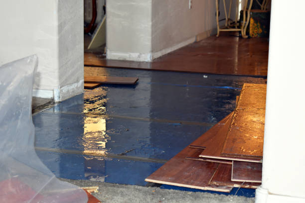 Professional Flood Cleanup technician working in Muscadine, AL